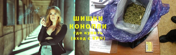 шишки Армянск