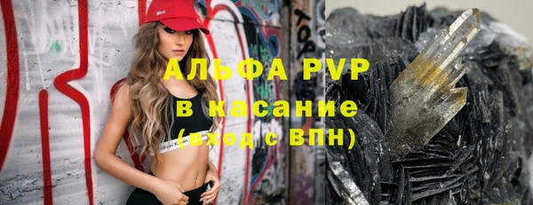 прущие грибы Баксан