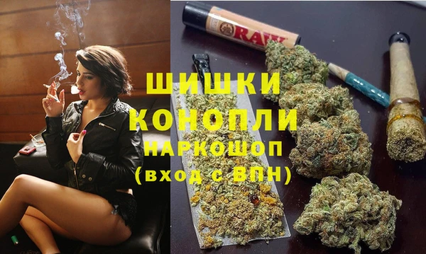 прущие грибы Баксан